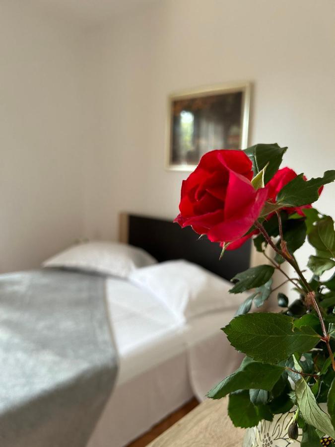 Guesthouse Klečak Cavtat Eksteriør billede